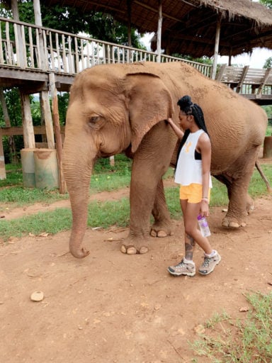 Loop Abroad Student walking with Elephant