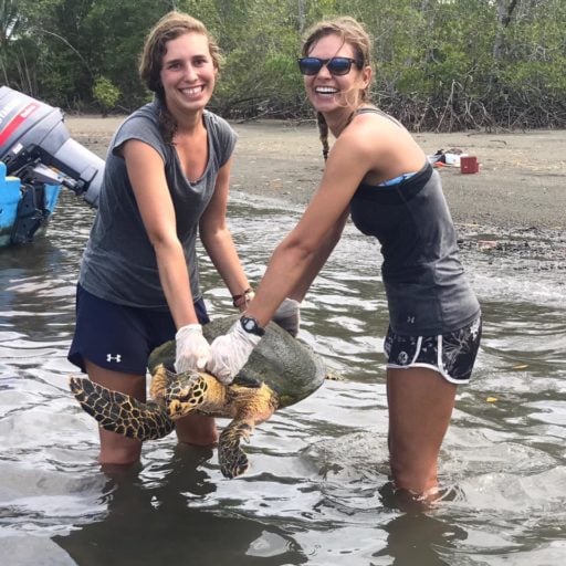 Students of sea turtle conservation holding a sea turtle.