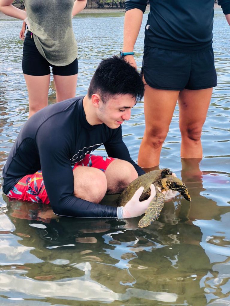 Student holding a small sea turtle