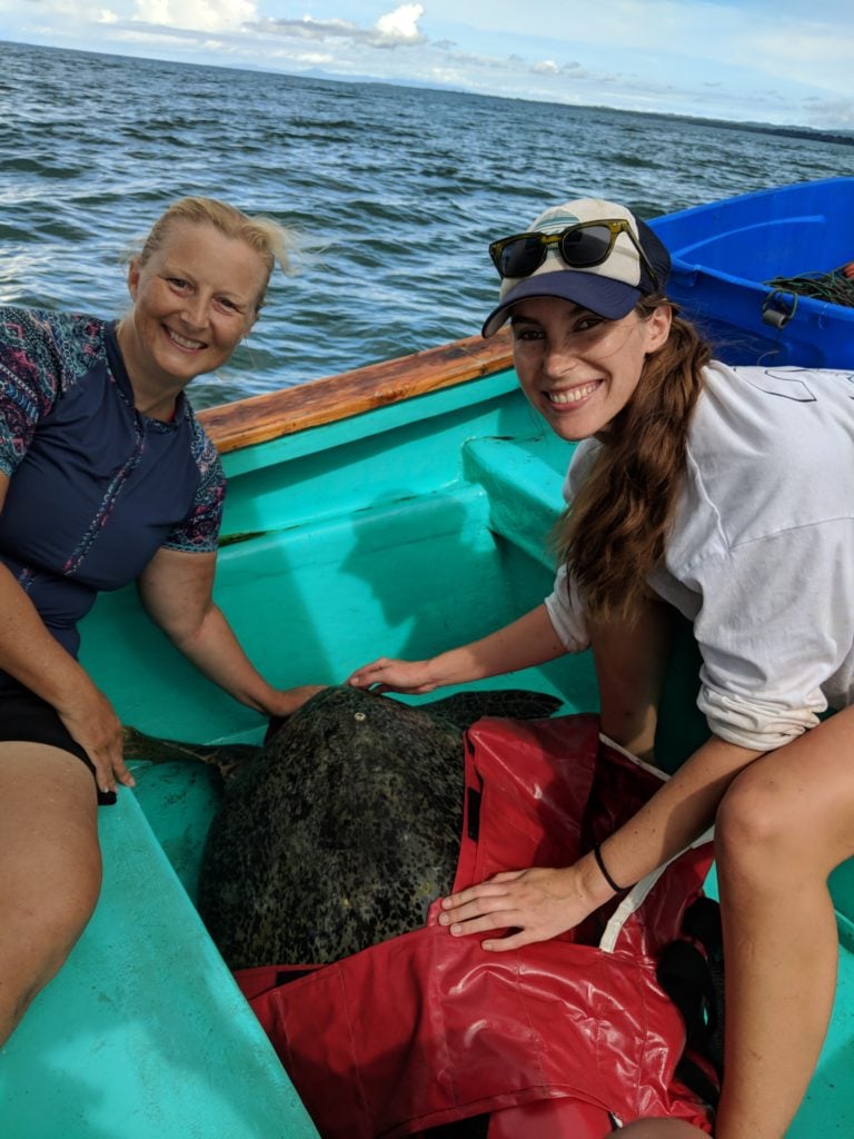 Student at sea capturing a sea turtle