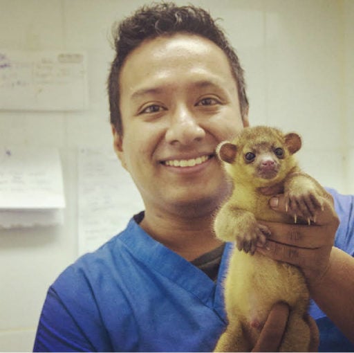Dr. Julio Reyes holding a kinkajou a tropical rainforest mammal