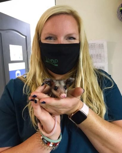 Loop Abroad Instructor holding a baby opossum