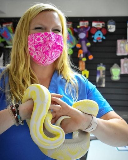 Loop Abroad instructor giggling because of the ball python slithering on her.