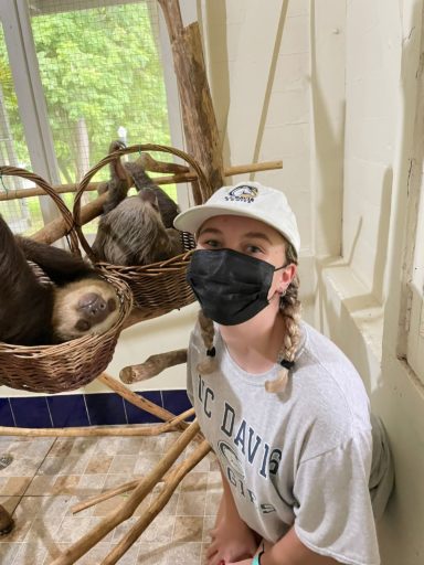 Student posing with sloth inside their basket.