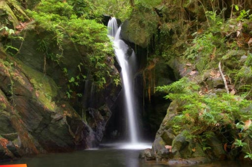 Beautiful water falls