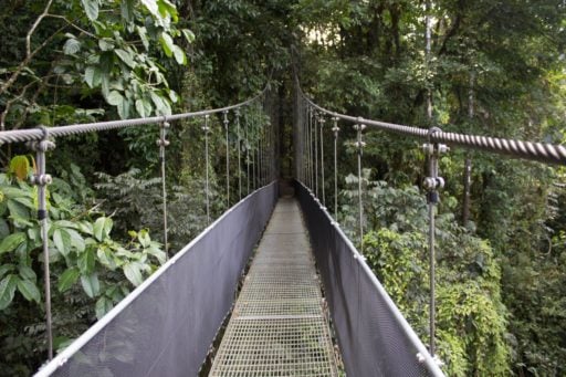 Long hanging bridge