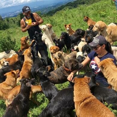 Loop Abroad Students bond with the dogs at Territorio de Zaguetes