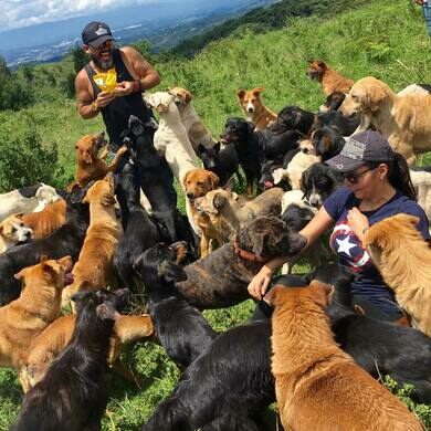 Loop Abroad Students bond with the dogs at Territorio de Zaguetes