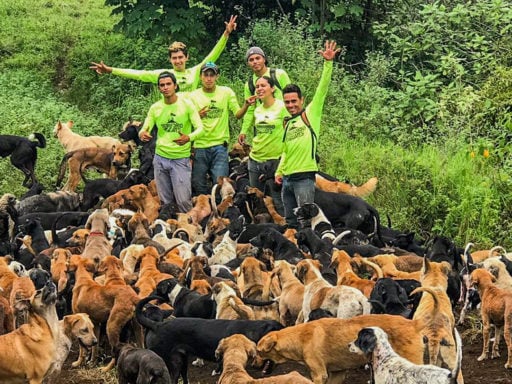 Loop Abroad students pose with stray dogs at Territorio de Zaguetes
