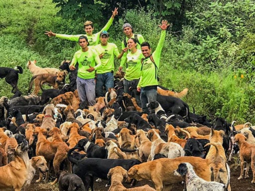 Loop Abroad students pose with stray dogs at Territorio de Zaguetes