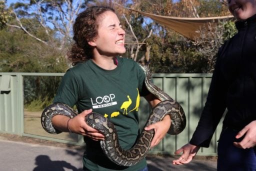 Loop Abroad student grinning over the slithering of the snake she is holding.
