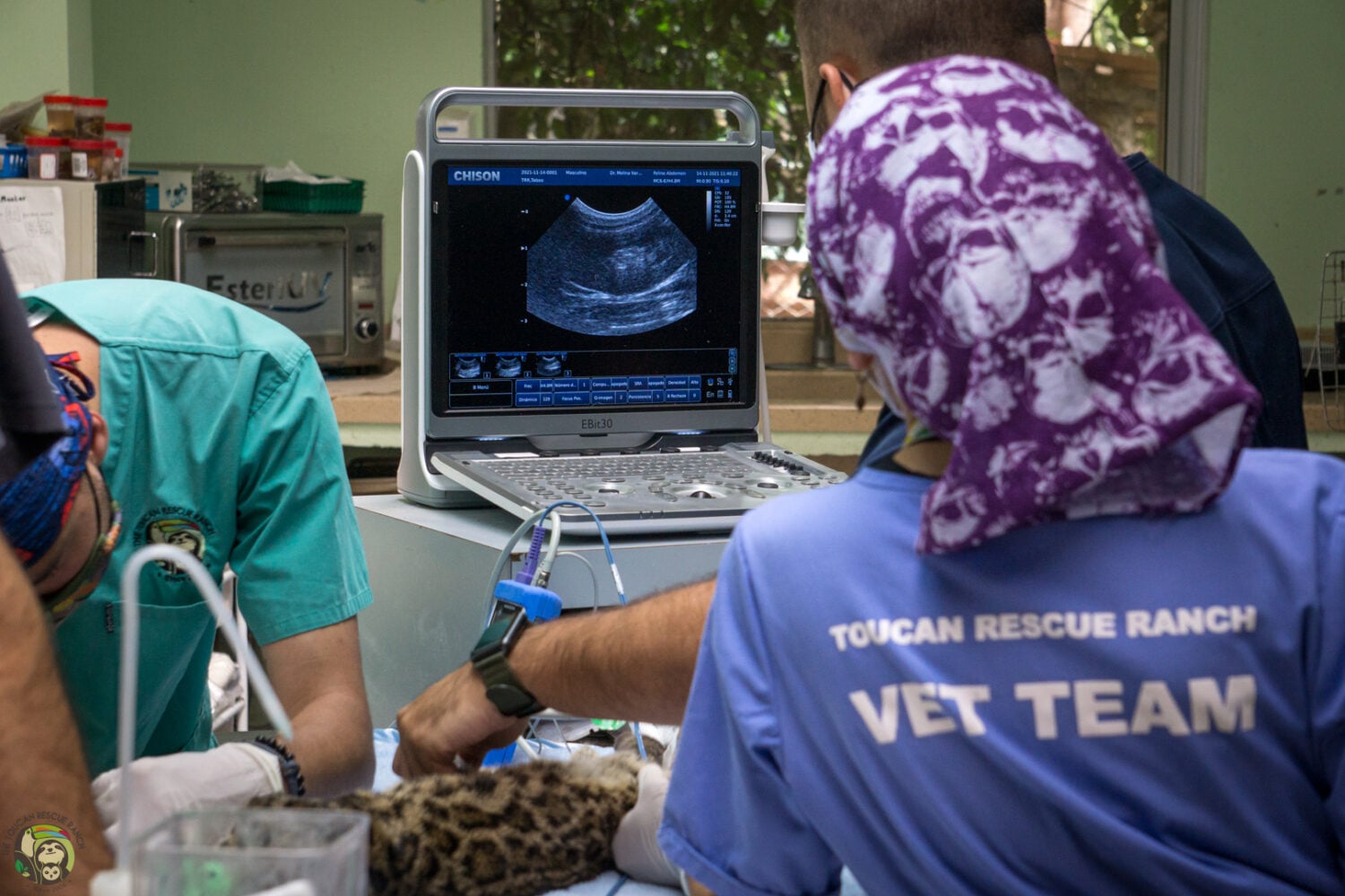 Costa Rica PreVet Internship Loop Abroad